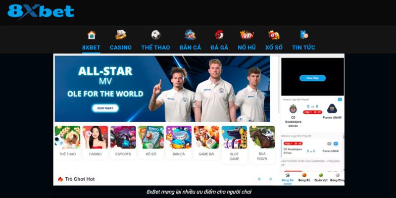 Giấy phép hoạt động 8xbet